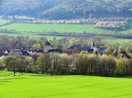 Bild vom Ortsteil Ameluxen