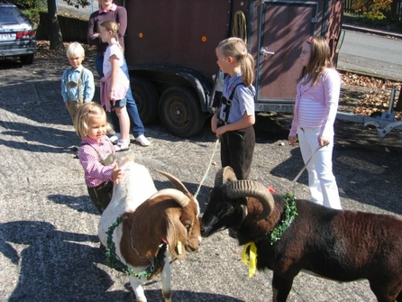 Almabtrieb in Dalhausen